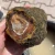 rough-agate-specimen-morocco-kerrouchen (1) (Copy).webp