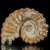 amonity-surowe-naturalne (1).webp