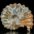 amonity-surowe-naturalne (7).webp