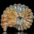 amonity-surowe-naturalne (8).webp