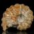amonity-surowe-naturalne (16).webp
