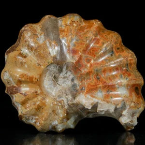 amonity-surowe-naturalne (17).webp