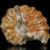 amonity-surowe-naturalne (17).webp