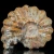 amonity-surowe-naturalne (19).webp