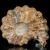 amonity-surowe-naturalne (20).webp