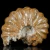 amonity-surowe-naturalne (22).webp