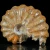amonity-surowe-naturalne (23).webp