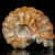 amonity-surowe-naturalne (28).webp