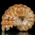 amonity-surowe-naturalne (29).webp