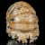 amonity-surowe-naturalne (33).webp