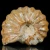 amonity-surowe-naturalne (35).webp