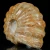 amonity-surowe-naturalne (36).webp