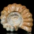 amonity-surowe-naturalne (41).webp
