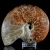 amonit-surowy-duza-naturalna-skamienialosc (1).webp