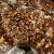 amonit-surowy-duza-naturalna-skamienialosc (2).webp