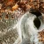 amonit-surowy-duza-naturalna-skamienialosc (3).webp