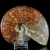 amonit-surowy-duza-naturalna-skamienialosc (4).webp