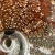 amonit-surowy-duza-naturalna-skamienialosc (5).webp