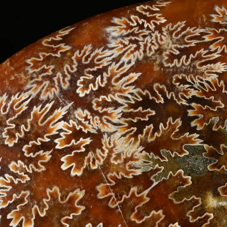 amonit-surowy-duza-naturalna-skamienialosc (8).webp