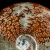 amonit-surowy-duza-naturalna-skamienialosc (10).webp