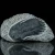 trylobit-duzy-skamieliny-sklep (1).webp