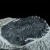 trylobit-duzy-skamieliny-sklep (2).webp