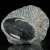trylobit-duzy-skamieliny-sklep (9).webp