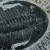 trylobit-duzy-skamieliny-sklep (13).webp