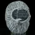 trylobit-duzy-skamieliny-sklep (21).webp
