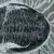 trylobit-duzy-skamieliny-sklep (22).webp