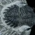 trylobit-duzy-skamieliny-sklep (23).webp