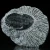 trylobit-duzy-skamieliny-sklep (24).webp