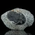 trylobit-duzy-skamieliny-sklep (39).webp