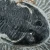 trylobit-duzy-skamieliny-sklep (40).webp