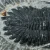 trylobit-duzy-skamieliny-sklep (44).webp