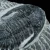 trylobit-duzy-skamieliny-sklep (46).webp