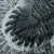 trylobit-duzy-skamieliny-sklep (47).webp