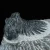 trylobit-duzy-skamieliny-sklep (49).webp