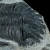 trylobit-duzy-skamieliny-sklep (54).webp