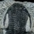 trylobit-duzy-skamieliny-sklep (59).webp