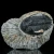 trylobit-duzy-skamieliny-sklep (61).webp