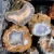 surowe-agaty-maroko-kerrouchen (2).webp