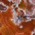agat-argentyny-puma-patagonia (76) (Copy).webp