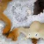 agat-argentyny-puma-patagonia (2) (Copy).webp