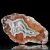 agat-argentyny-puma-patagonia (9) (Copy).webp