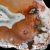 agat-argentyny-puma-patagonia (11) (Copy).webp