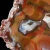 agat-argentyny-puma-patagonia (41) (Copy).webp