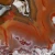agat-argentyny-puma-patagonia (42) (Copy).webp