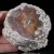 agat-argentyny-puma-patagonia (43) (Copy).webp