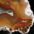agat-argentyny-puma-patagonia (47) (Copy).webp